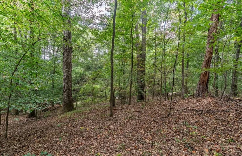 Stone Bottom Creek and Towering Oaks in Wetumpka, AL (Lot 8)