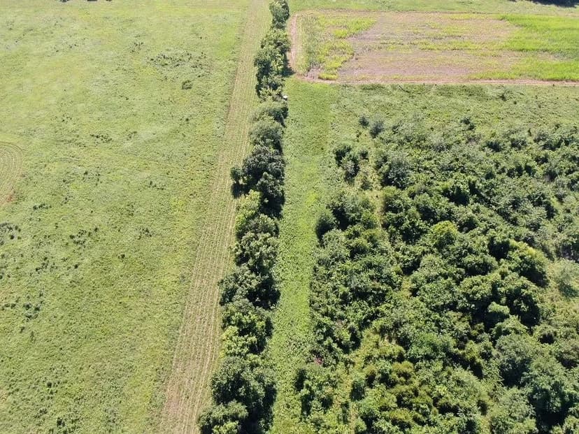 Cedar County, MO Cattle Property