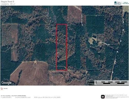 Timberland for Sale Union Parish - Arrant Place