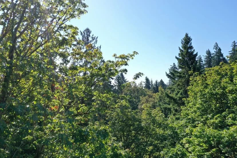 0.307 acres in Mercer Island