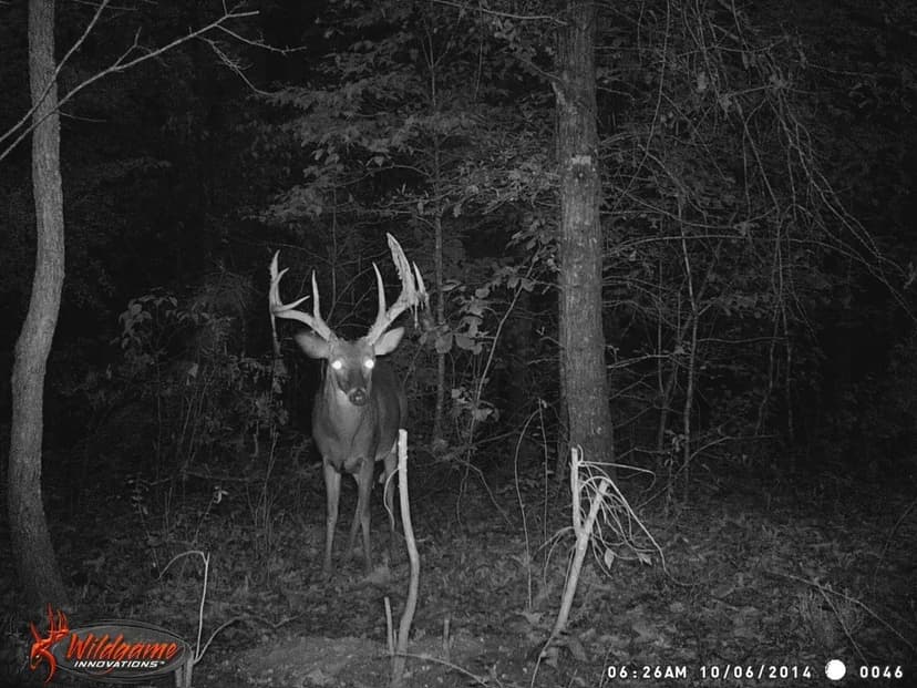 Redbud Ridge Preserve: 426 Acres in Titus, AL