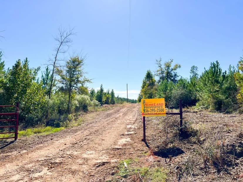 143 Acres | Private Road 507 | T-3