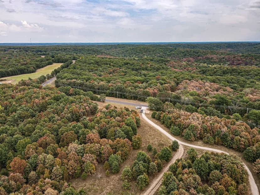 Liberty Ranch GNR Cattle