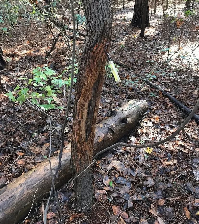 Prairie Island Retreat