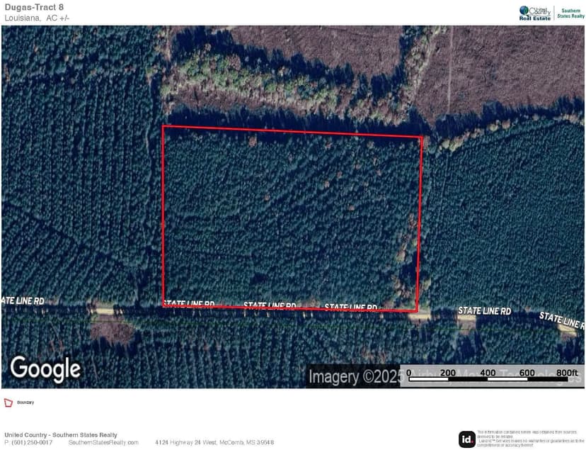 South Arkansas Timber Tract For Sale - Stateline Tract