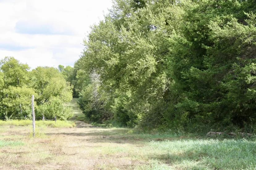 1703 County Road 4605