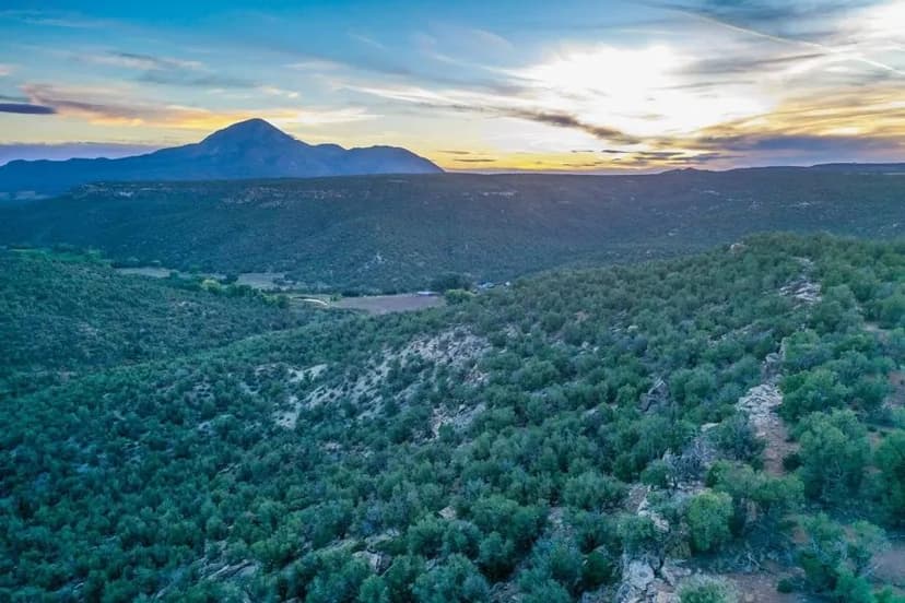 75 Acres of Vacant Land for Sale in Cortez, CO - Dream Homesite!