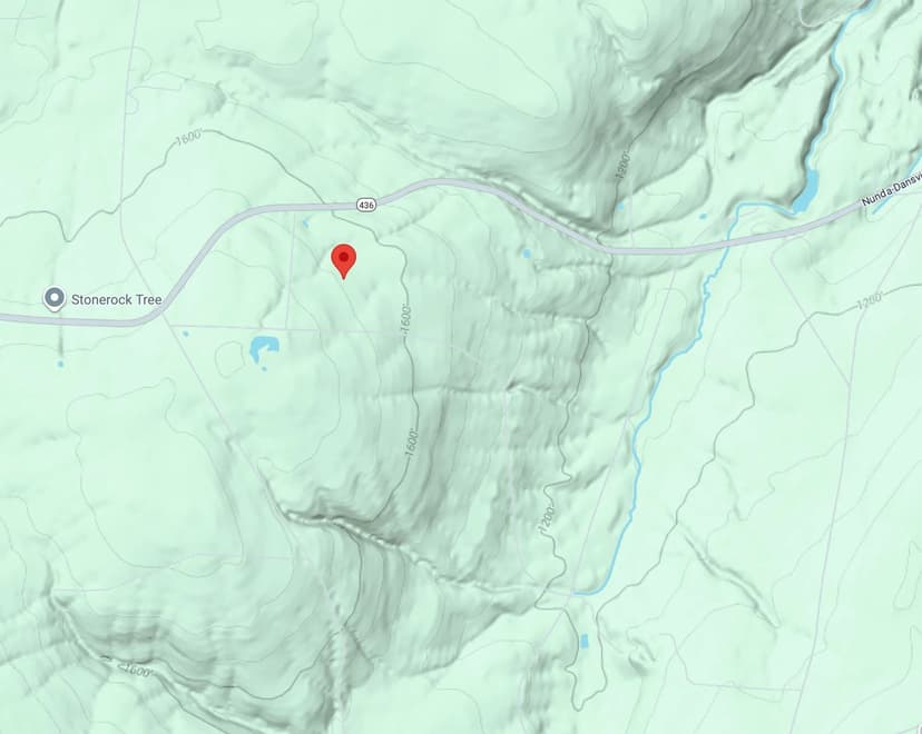 44 acres Timberland with Cabin and Ponds in Ossian NY 4567 Christian Rd
