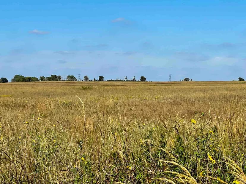 480± Acres Cropland, Hunting, Timber, Ponds, Creek, Pasture & More!