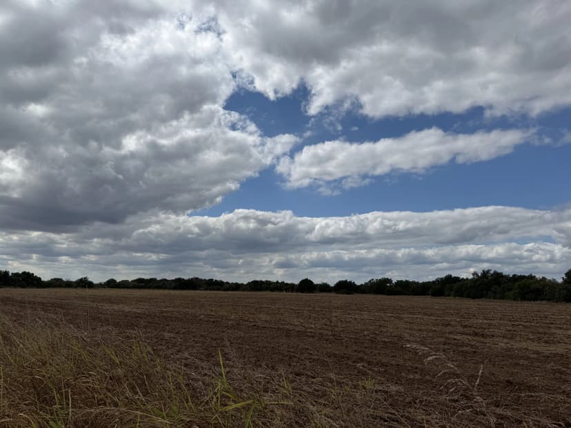 New Listing!! 128+/- Ac & Home, Callahan County