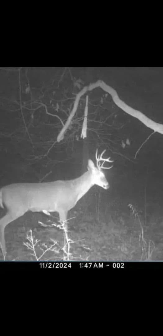 8206 Eakin Grove Road