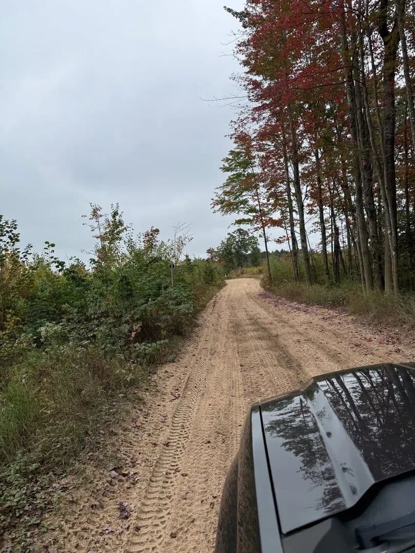 40 +/- Acres, Prudenville MI 48651 / Land For Sale