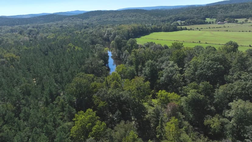 South Fourche Hunting & Timber