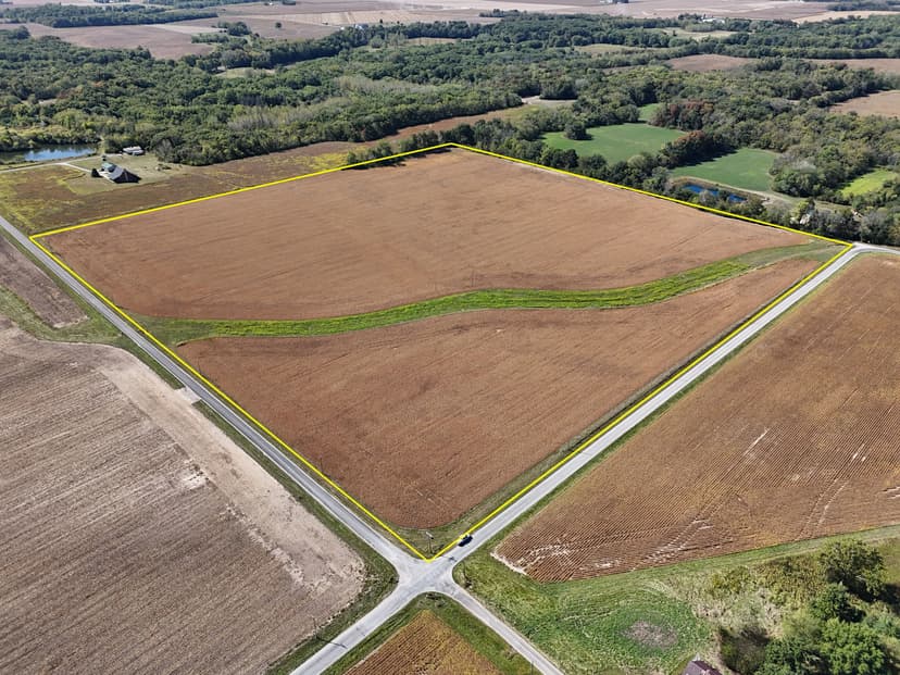 The Biery Farm 40 | 40 +/- Acres | Douglas County, IL