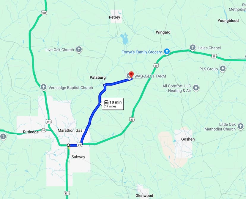 A Home on 7 Acres in Crenshaw County, AL 