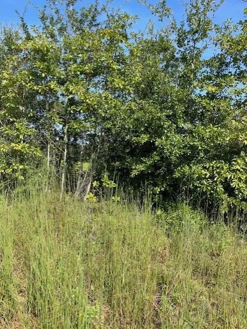 28.92 Acres in Crenshaw County, AL 