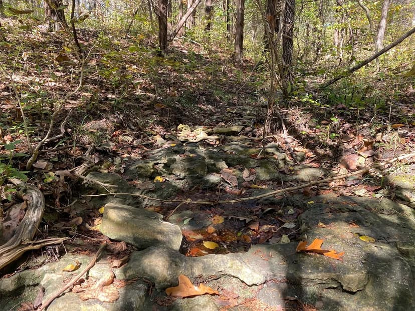 12±-Acre Wooded Lot w/Potential Development Opportunities for Sale – Gasconade County