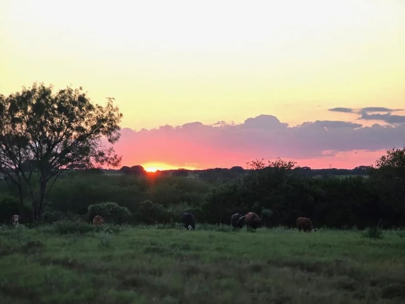 10 Acres- House and Cabin