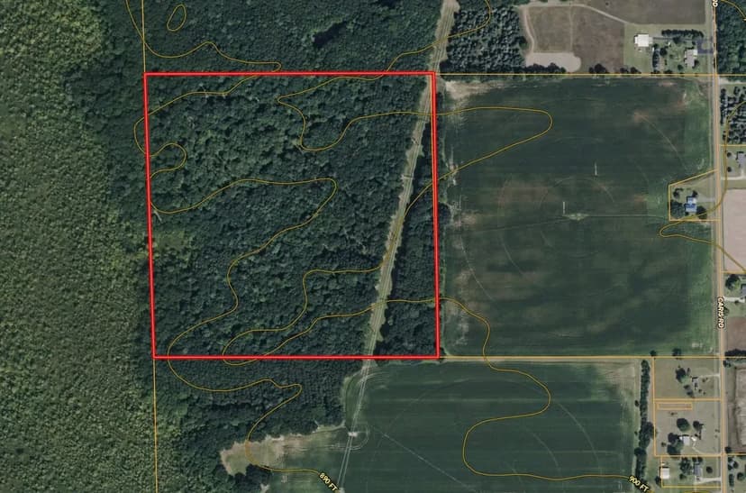 40 +/- Acres Vestaburg MI, Montcalm County