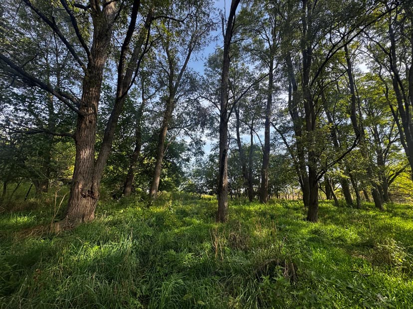 Marquette County 3-Bedroom Ranch on 45+/- Acres