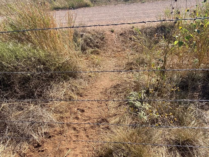 New Listing!!  30+/- Ac, E US 180, Jones County