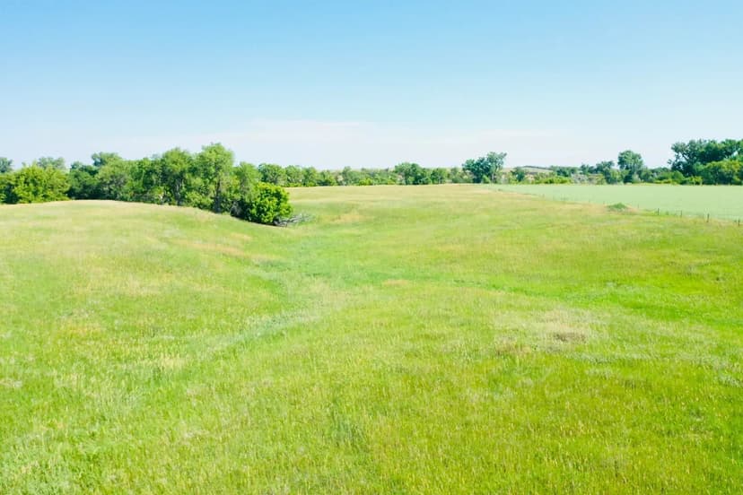 Brinton Development Tract 1