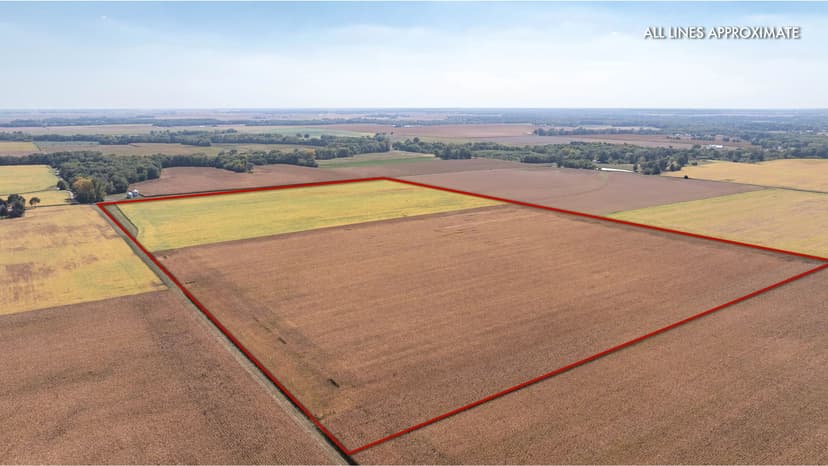 TBD Crawford Ave. Waggoner, IL