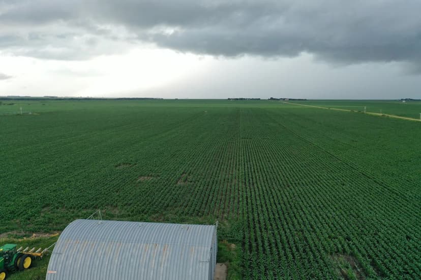 86.45+/- Irrigated Acres in York County, NE