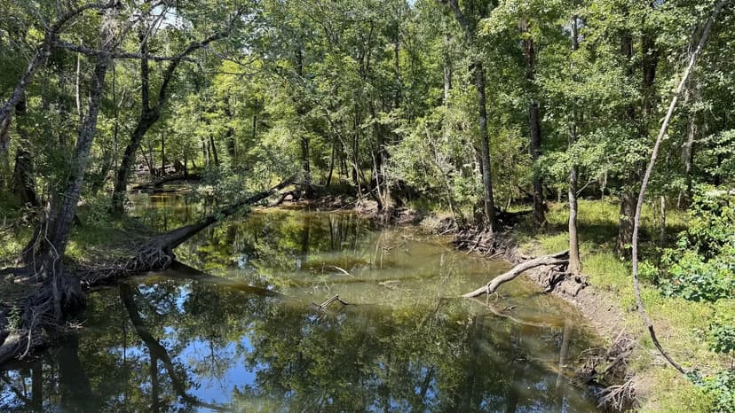 78 Acres Timber & Creekfront Investment – Bonifay, FL