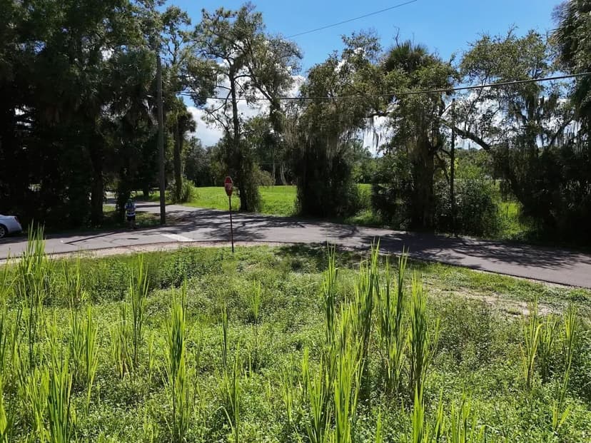 Commercial or Residential Potential