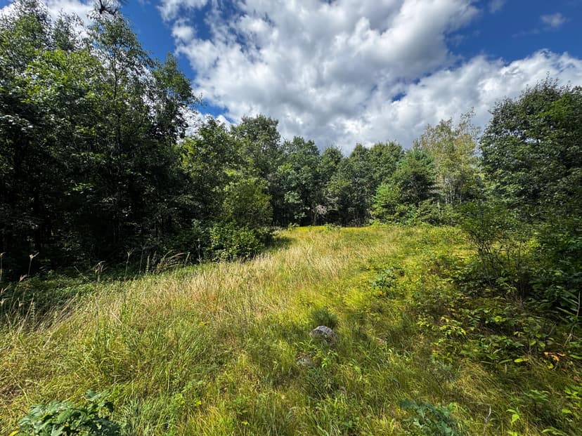 Escape to 80 acres of heavily timbered ground in Adams County