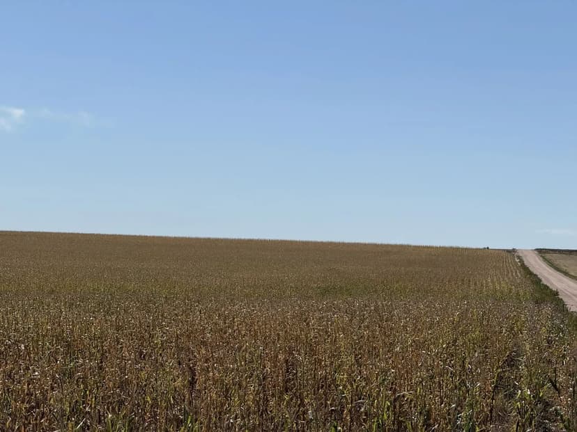 Yuma/Washington Dryland Auction