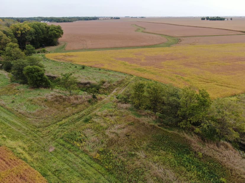 The Lowthorp & Hughes Trust Farmland Auction | 180 +/- Acres | McLean County, IL
