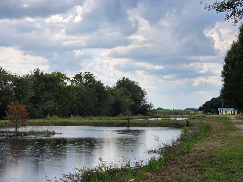 7.4 Acres with Fishing Ponds, Lacassine Road, Scott, La.