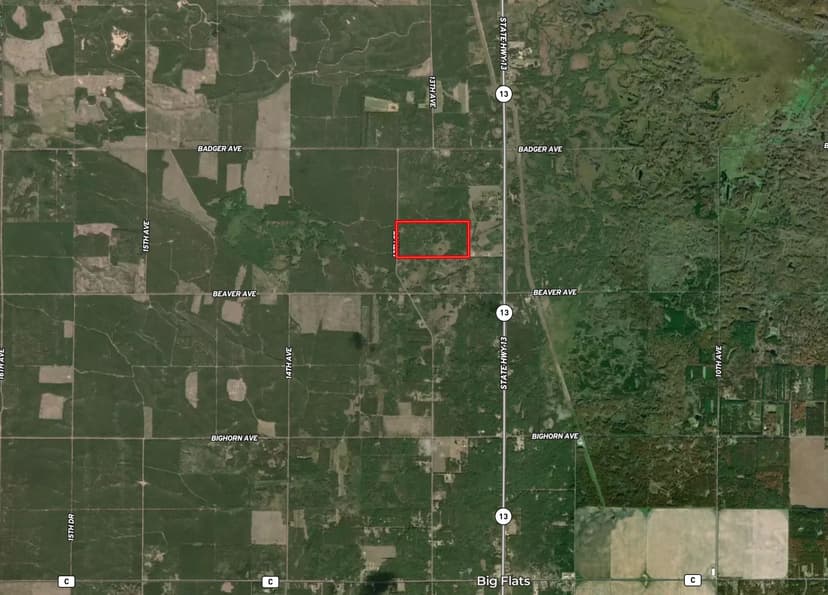 80-acre timbered tract in the Town of Big Flats, Adams County