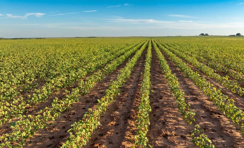 Hunter Family Trust Farm