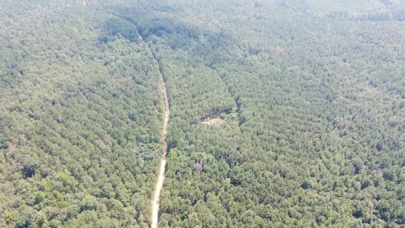 Millport 40 Acre Timber Tract