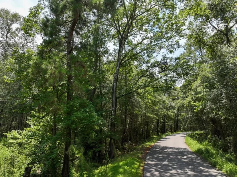 186 Acres | T-3 | County Road 821 | 01346