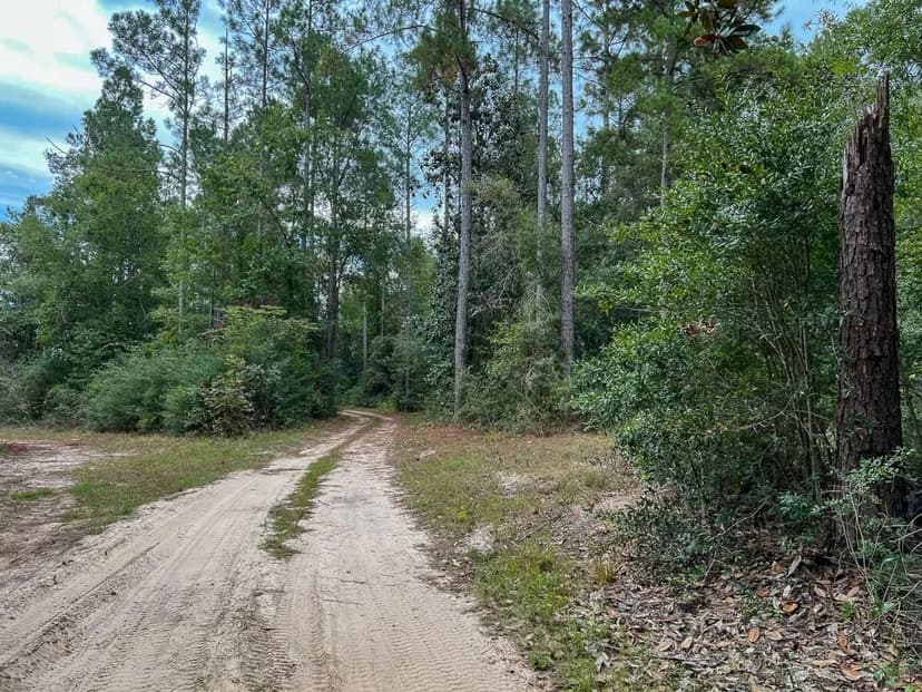 13 Acres | T-3 | FM 1416