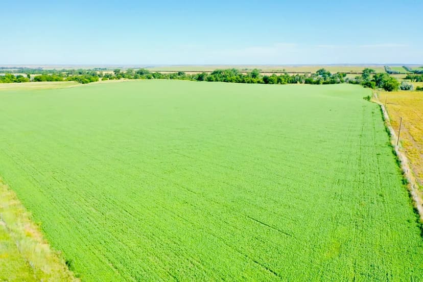 Brinton Development Tract 2