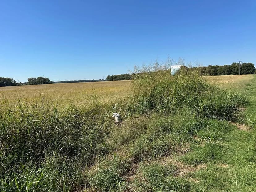 77 +/- Acres Farm & Hunting Land for Sale – Swifton, Jackson County, AR