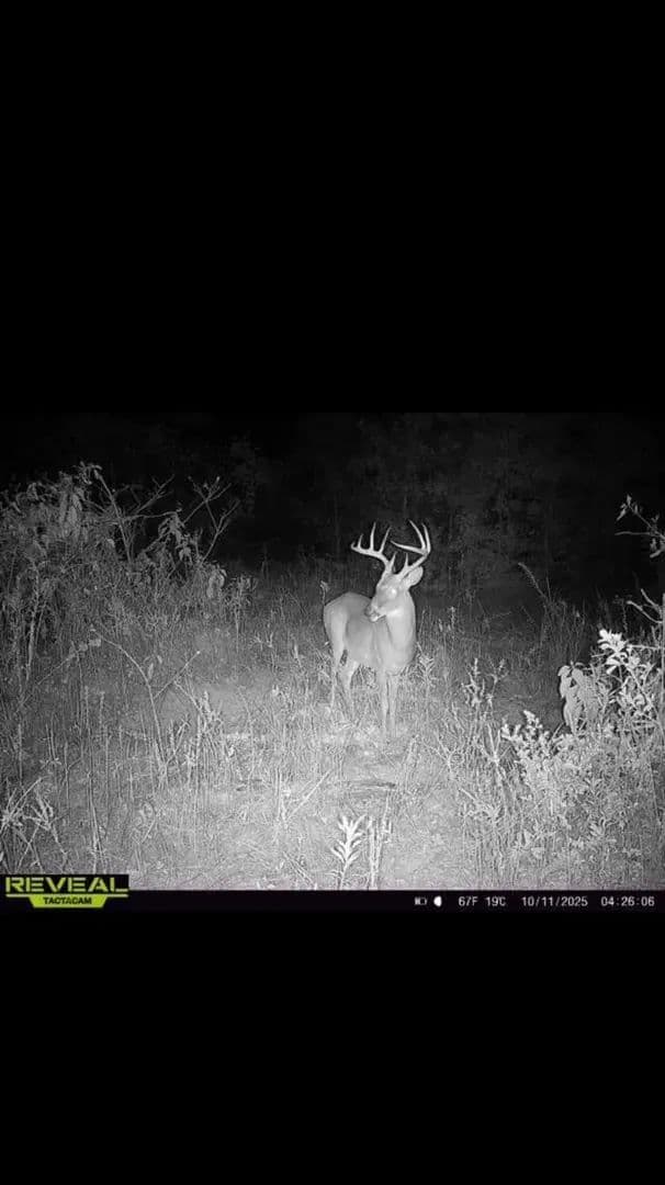 Brinson Airbase 67.6 Acres