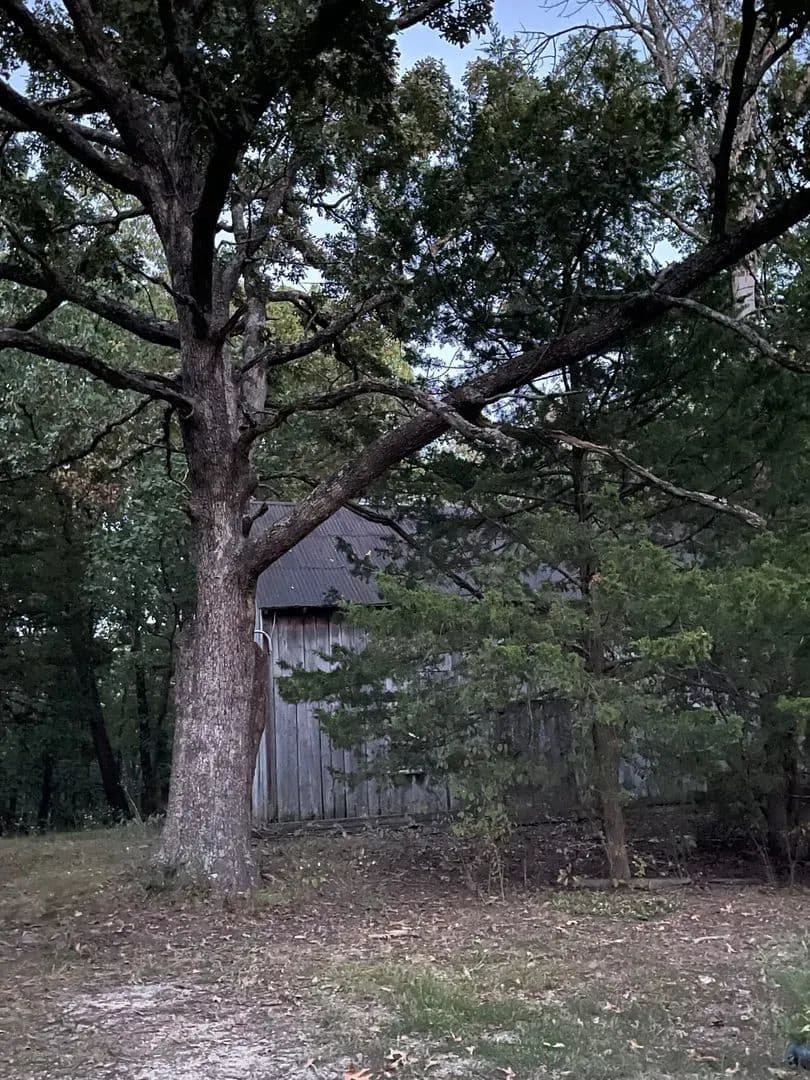 16.25 ACRES WITH HUNTING CABIN-WELL-ELECTRIC