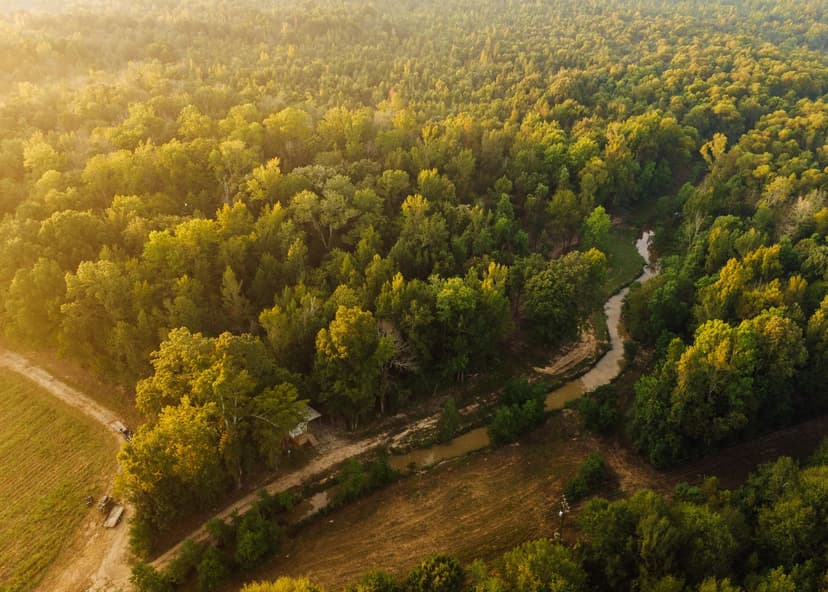 125 Acres With a Tiny Home in Leake County, MS