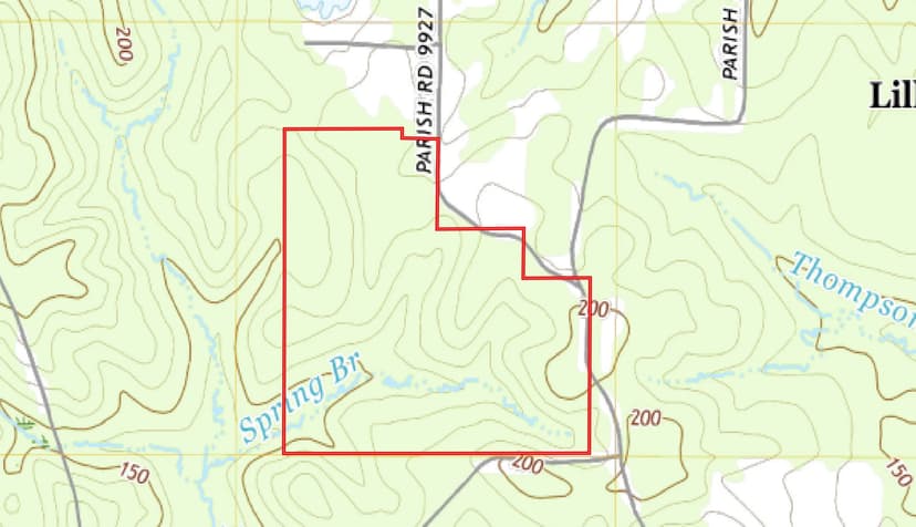125 Acres with a Camp in Union Parish, LA 