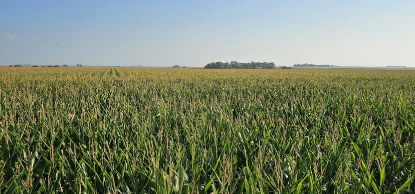 Phelps County Pivot Irrigated Farm