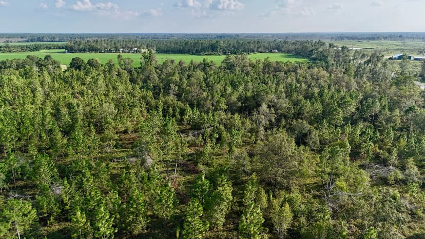 Wooded Country Retreat - 44 Acres