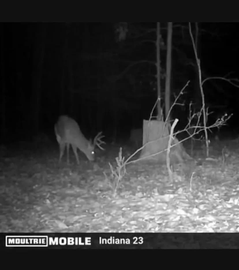 3 Bed 2 Bath Home on 23 Acres Parke County, IN