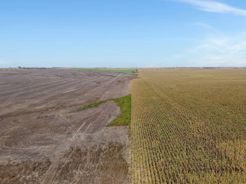 Webster County Corner Farm