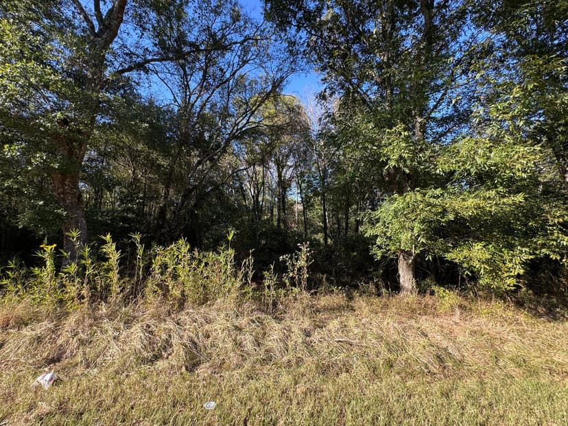 LA - West Carroll 89 acres +/-